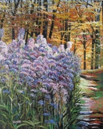 purple flowers in T C Steele garden